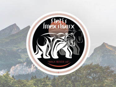 Stetis Imexstowx bear logo with mountain background