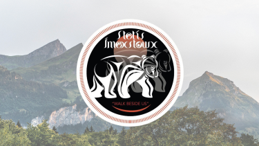 Stetis Imexstowx bear logo with mountain background