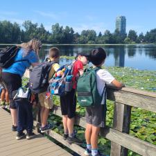 Class look over dock into mill lake for BC painted turtles