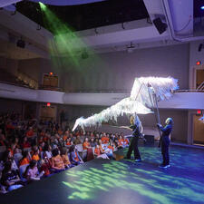 Stetís ímexstowx 2024